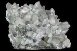 Calcite Crystal Cluster with Pyrite - Morocco #69532-3